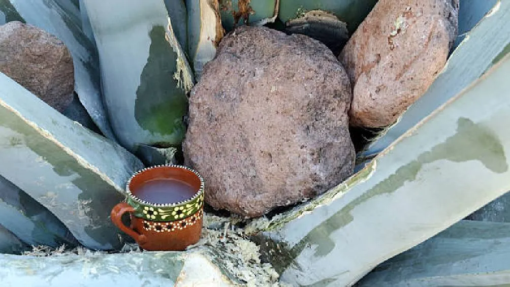 El Pulquefest 2025 ofrecerá una experiencia que celebra la cultura popular a través de diversas actividades para toda la familia | iStock