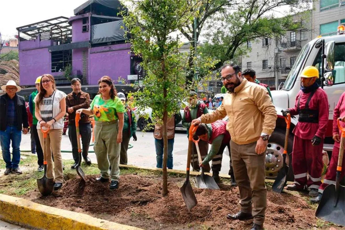 Clara Brugada arranca programa de sustitución de palmeras en CDMX/SOBSE