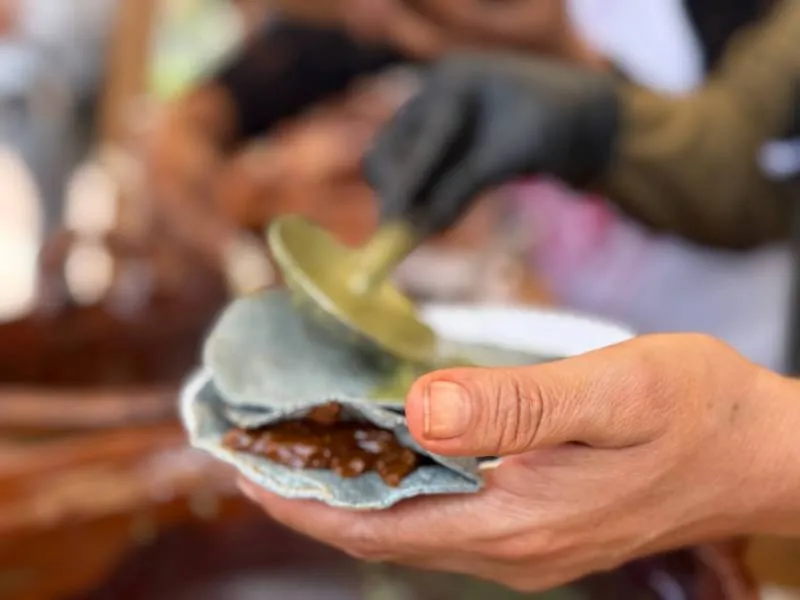 El proyecto busca ofrecer tortillas saludables y apoyar a productores locales de maíz criollo/Gobierno de la Ciudad de México