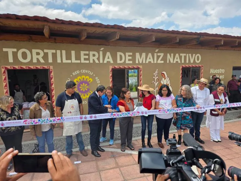 La capital mexicana estrena su primera tortillería comunitaria de maíz nativo/Gobierno de la Ciudad de México