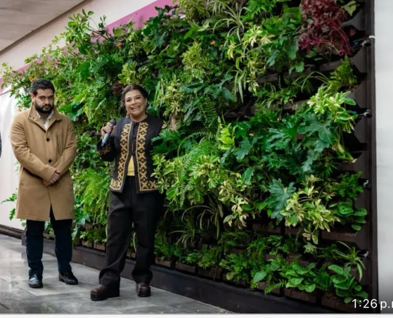 Clara Brugada presentó el primer muro verde instalado dentro del Metro capitalino, como parte de un plan ecológico piloto/Jefatura de Gobierno