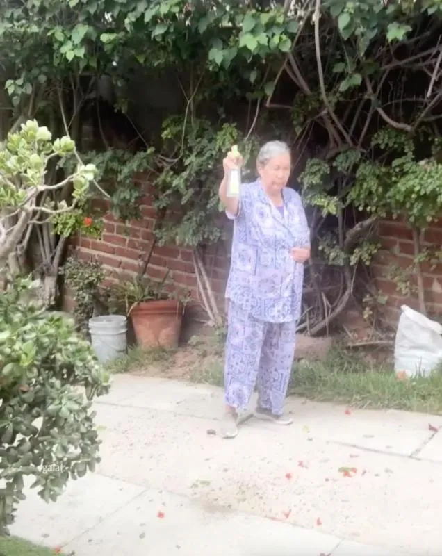 La abuelita salió de la nada para criticar a la chica por usar tatuajes / TT: @la.aala4._44