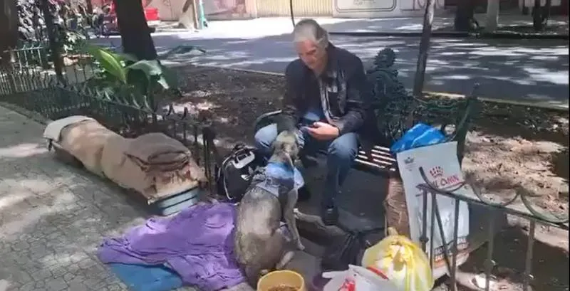Alejandro Landero lleva varios días en la calle junto a sus mascotas/X