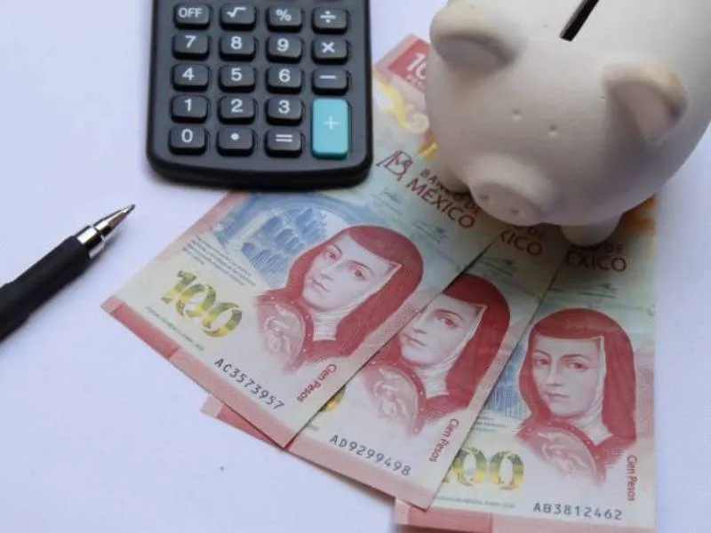 La Afores representa el ahorro para el retiro de los trabajadores/Pixabay