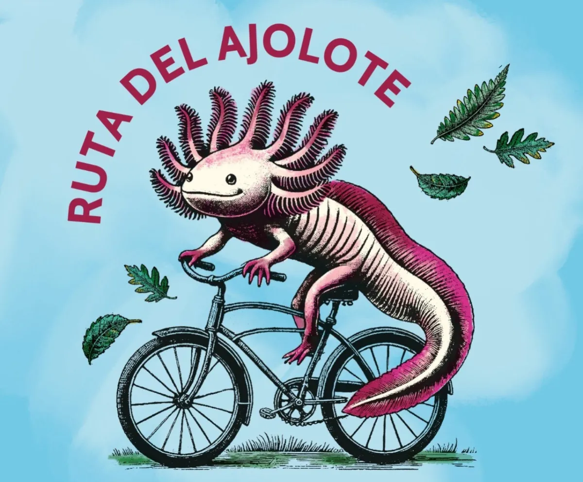 Es importante que tu lleves tu bicicleta para participar / Redes Sociales