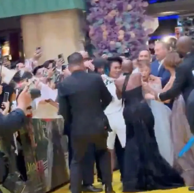 El fan burló la seguridad y se fue directo a Ariana Grande / Redes Sociales