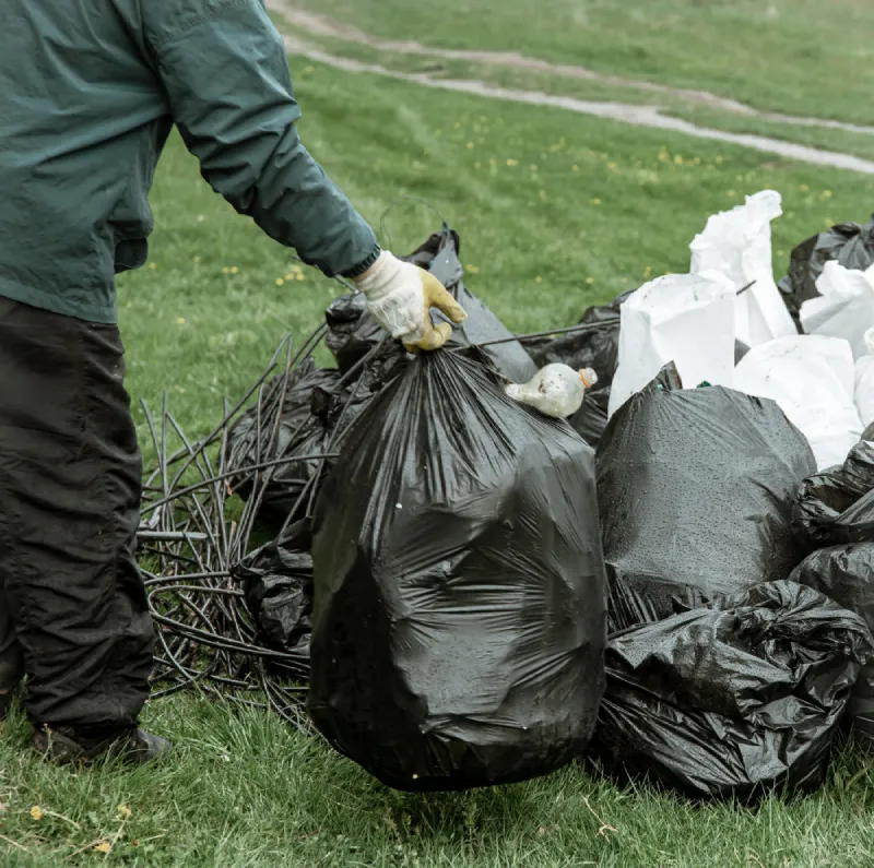 Ahora deberás tener tres botes de basura en casa o negocio / FREEPIK