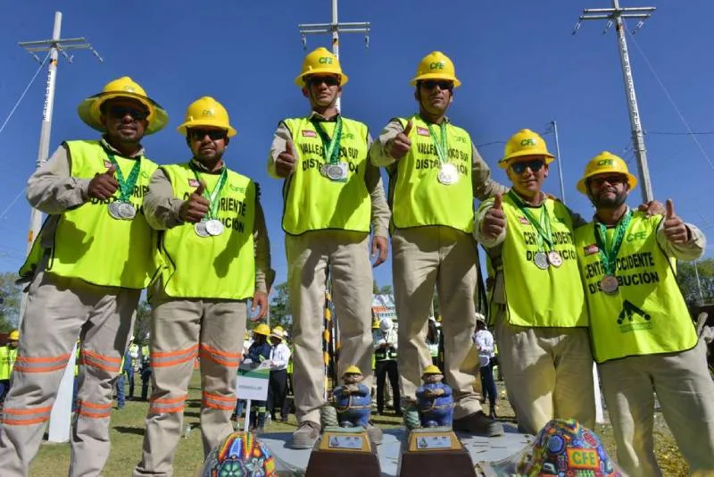 La CFE es encargada de suministrar la energía eléctrica a todo el país/Pixabay