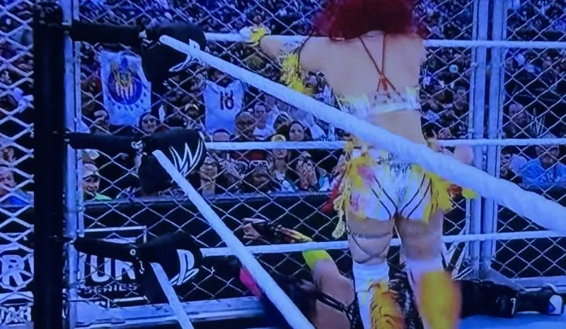 Chivas en Survivor Series