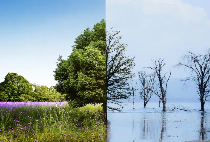 Inundaciones, sequías, olas de calor y contaminación, los principales problemas / FREEPIK