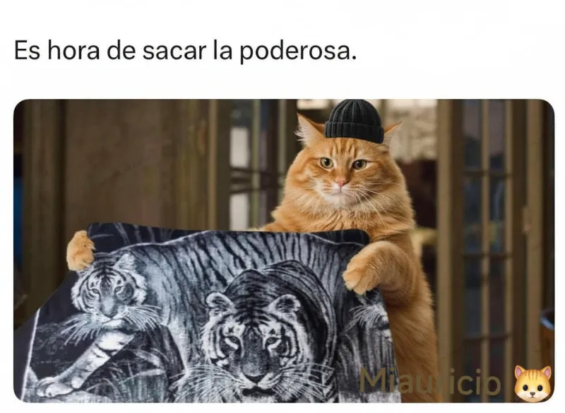 La cobija del tigre es un clásico de los climas fríos / Redes Sociales