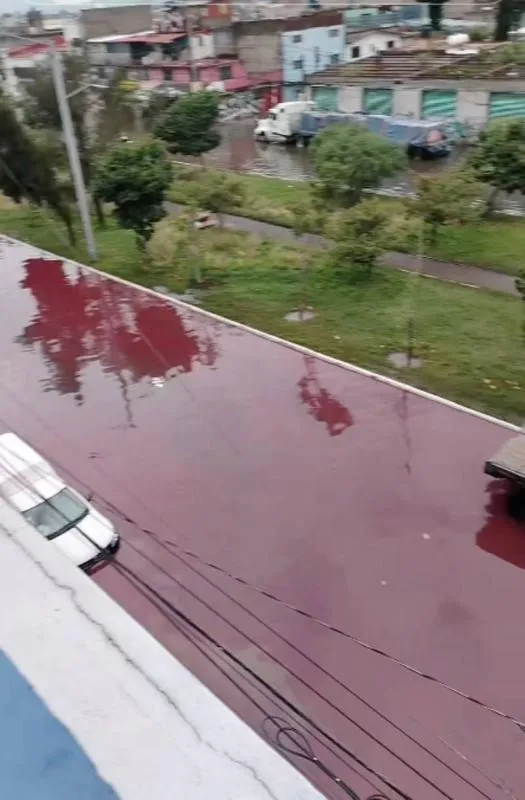 Vecinos afectados exigen a las autoridades locales y estatales una revisión urgente de la red de drenaje y monitoreo de contaminantes/Redes sociales