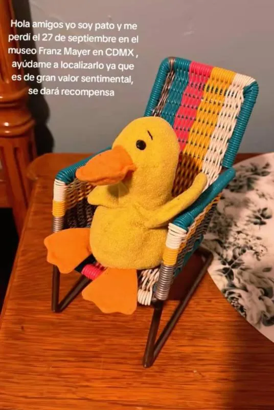 Su nombre es Pato, y su historia se ha vuelto viral en redes sociales/TikTok