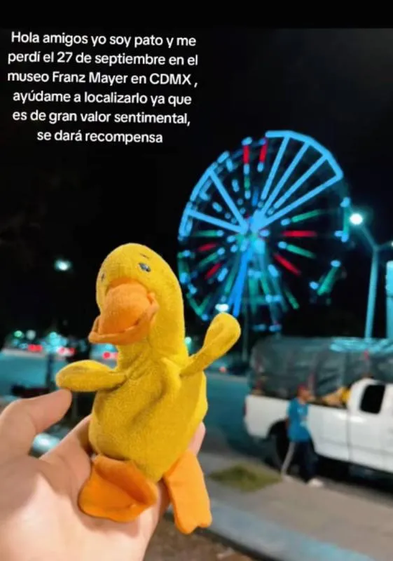 Pato no es solo un peluche; es un objeto de apoyo emocional/TikTok
