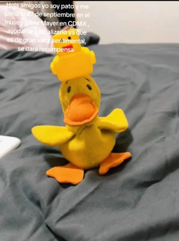 La familia ofrece una recompensa de $3,000 pesos mexicanos/TikTok