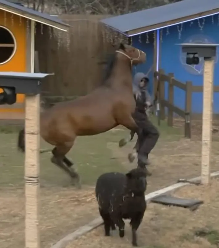 La reacción del caballo tomó por sorpresa al cantante, quien trató de mantener el control de la situación. / La Granja VIP