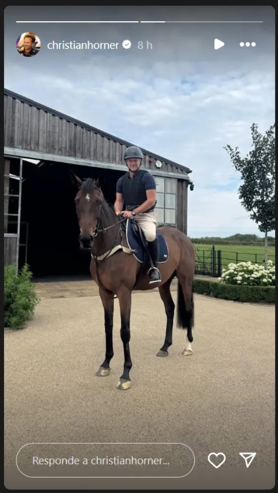 De momento, no está claro el futuro de Horner