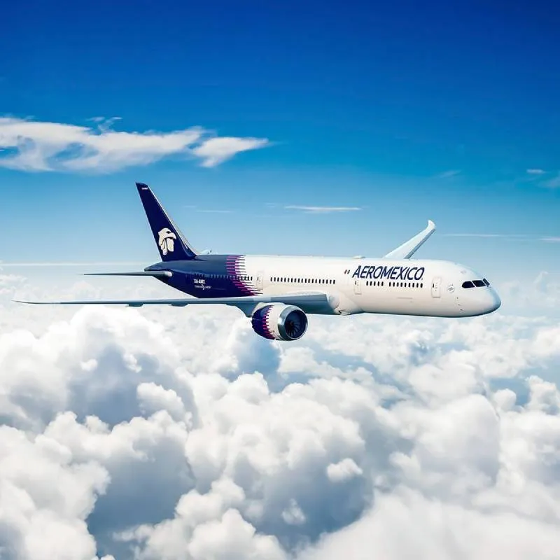 Aeroméxico mantiene convenios vigentes para apoyar la movilidad de las personas mayores de 60 años. / Aeroméxico