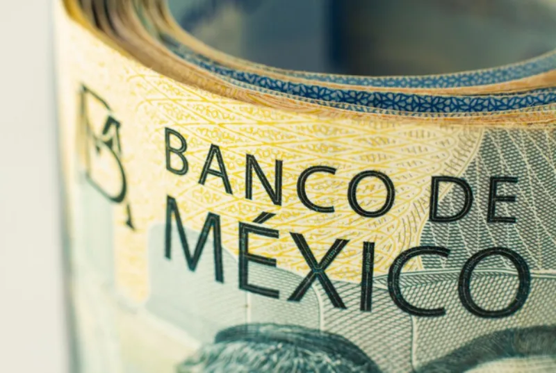 Revisa día a día el tipo de cambio de las divisas / FREEPIK