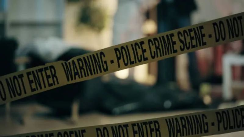 La policía ya investiga los hechos y busca dar con el presunto responsable/Pixabay