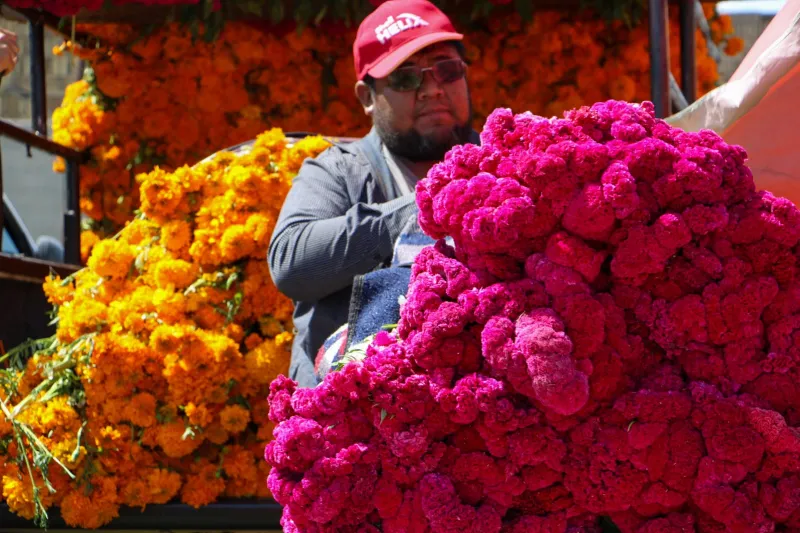 La Sedema abrió los centros de acopio / Redes Sociales