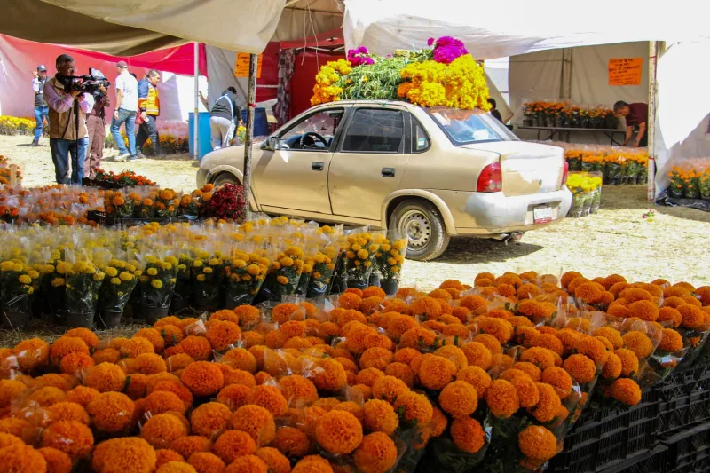 El año pasado se recolectaron más de 700 macetas de cempasúchil / Redes Sociales