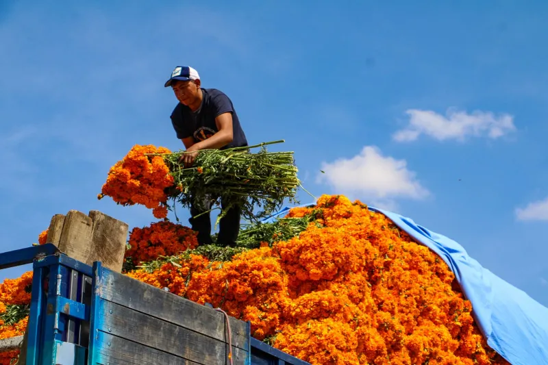 La gente puedes llevar flores completas, pétalos, tallos o macetas con tierra / Redes Sociales