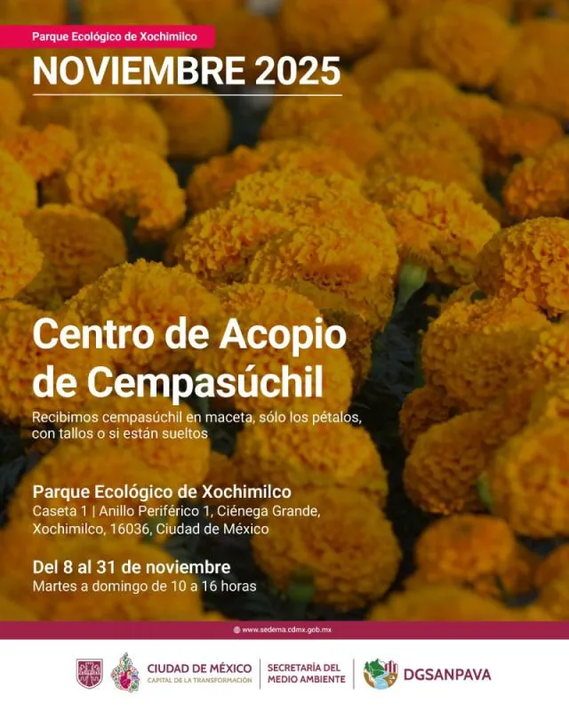 Se busca evitar que las flores se conviertan en residuos / Especial