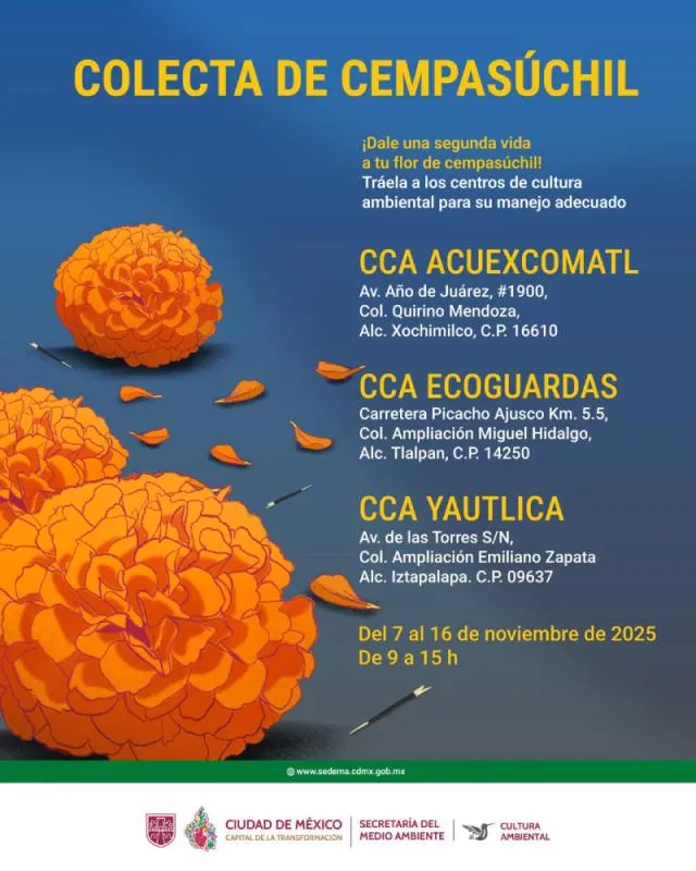 Hay que darle una segunda vida a las flores de cempasúchil / Especial