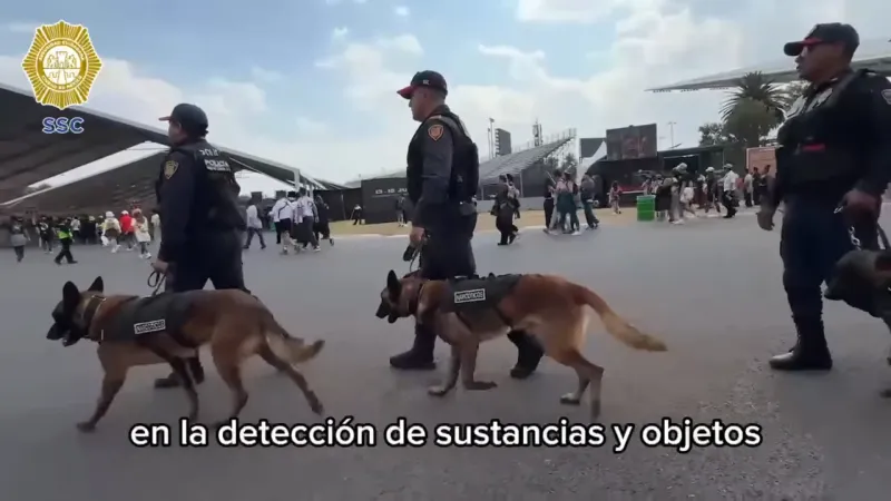Los binomios podrán localizar drogas y explosivos / FB: @PoliciaCDMX