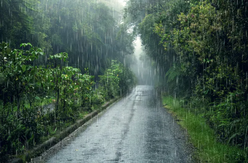 En la parte sur del país es donde se registrarán las fuertes lluvias / FREEPIK