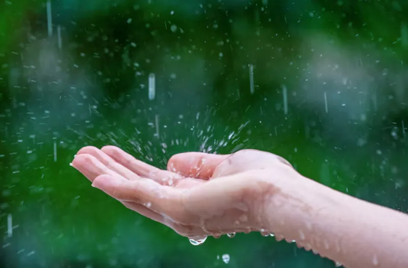 Con la lluvia también llegará el frío en la zona norte de México / FREEPIK