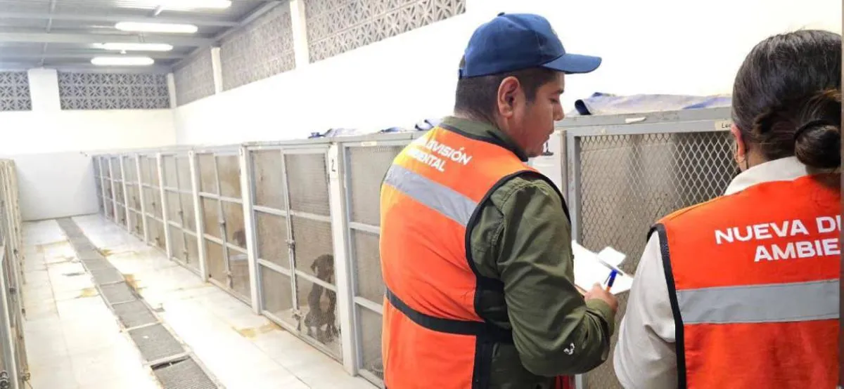 La intervención se realizó tras múltiples reportes en redes sociales /x:@nuevoleon