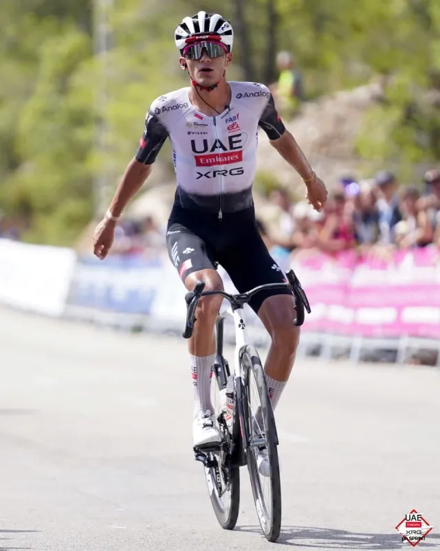 Del Toro ha tenido una temporada memorable