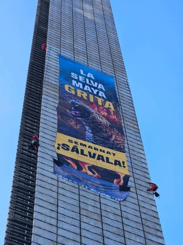 Un grupo de nueve activistas de Greenpeace México llevó a cabo una protesta simbólica al escalar la Estela de Luz / X