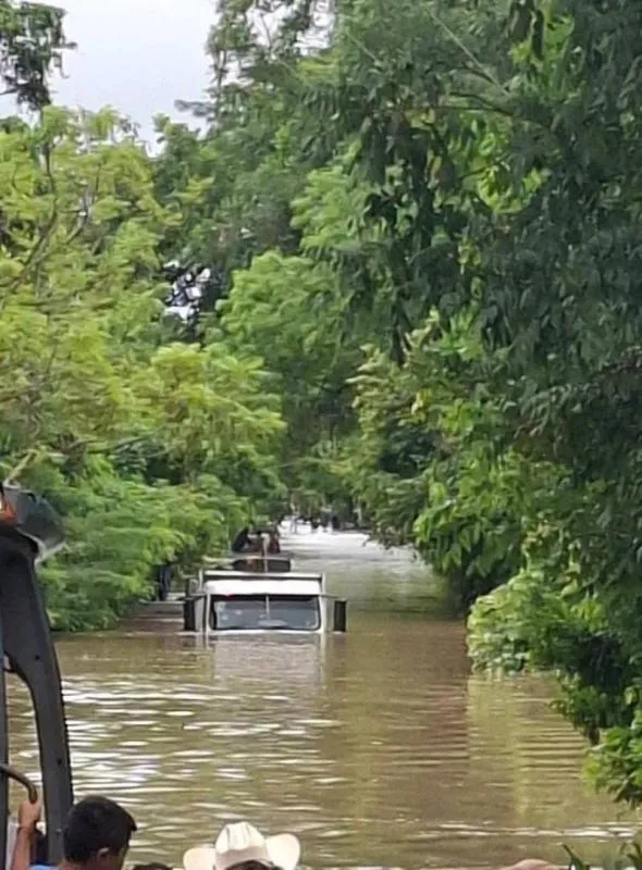 Imagenes desgarradoras circulan en redes sociales. / RS