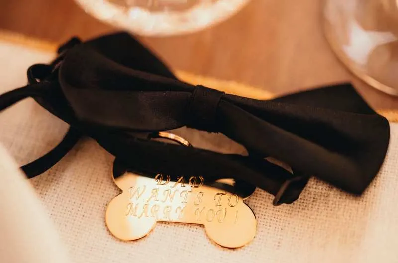 Anunciaron su compromiso