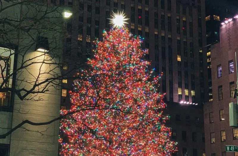 Viaja en esta navidad