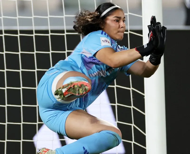 Busca seguir creciendo