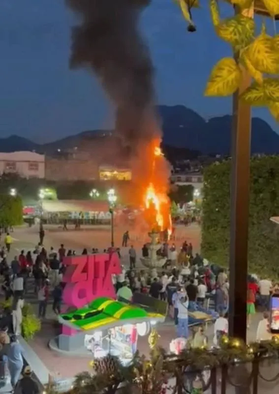 La protesta por la joven fallecida derivó en el incendio del árbol montado por el ayuntamiento. / X