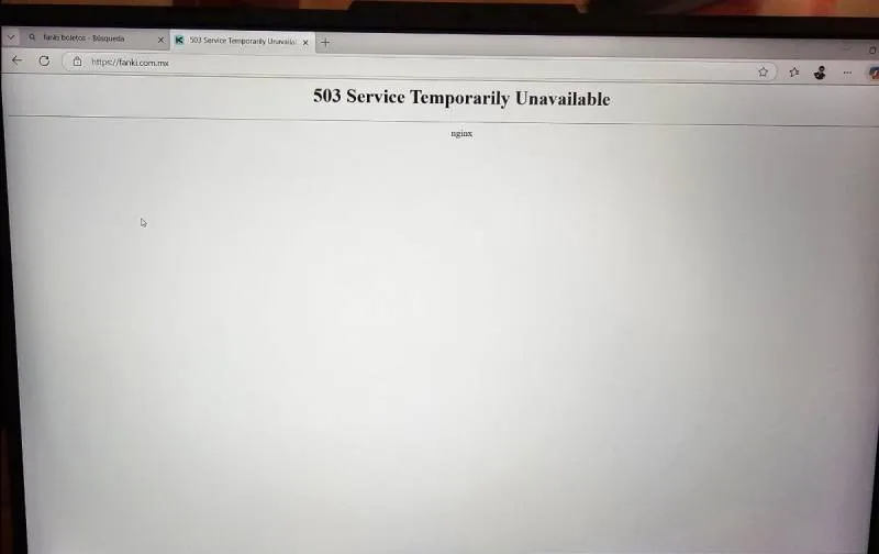 El error | Captura de pantalla