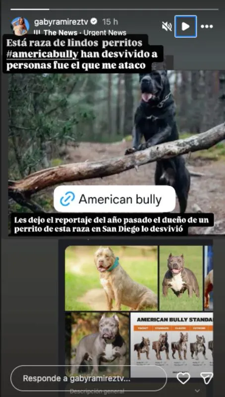 La actriz pide a los dueños de perros ponerle bozal / IG: @gabyramireztv