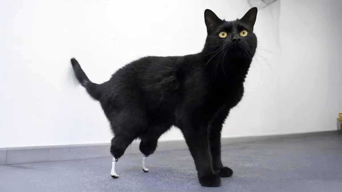 Cuando Oscar sufrió un accidente se pensó que ya no sobreviviría / Redes Sociales