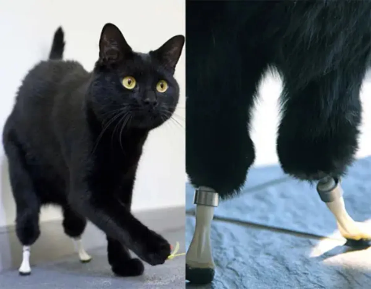 Oscar fue despedido por toda sus gente y doctores que lo atendieron / Redes Sociales