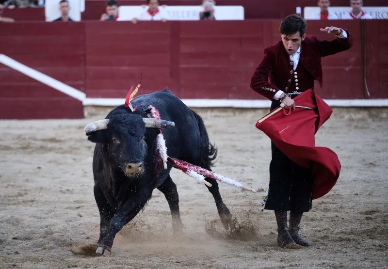 Hermoso de Mendoza | @NoticiasNavarra