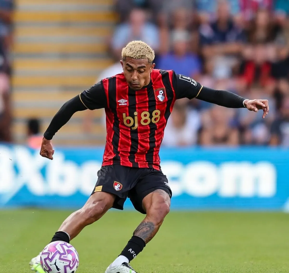 Con las Cerezas | @julian__araujo