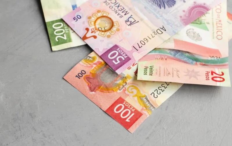 La propuesta de Morena en el Congreso dice es para beneficio de las familias / FREEPIK