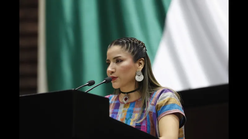 La diputada morenista, Naty Poob Pijy Jiménez Vásquez, propone cambios al artículo 93 de la Ley del ISR / Especial