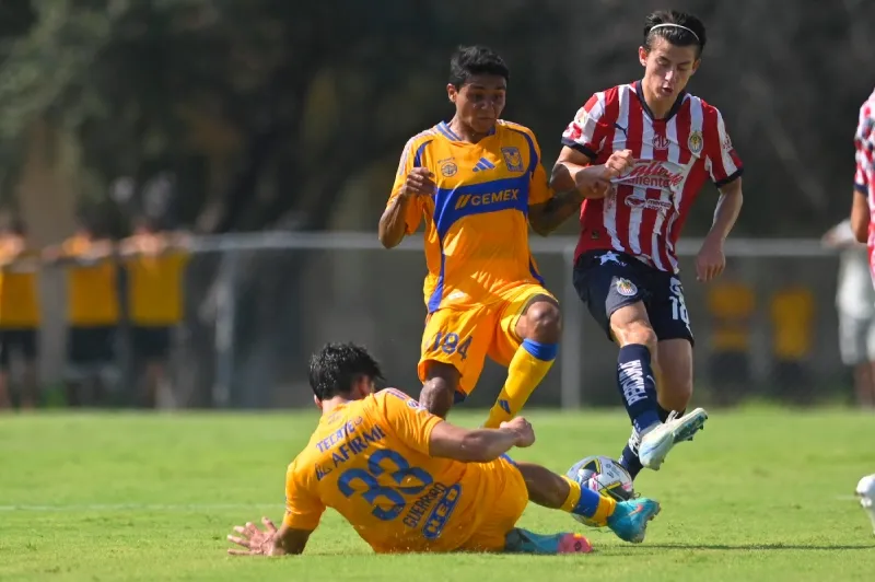 Estuvo 12 meses fuera