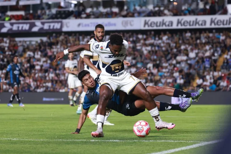 Los Pumas terminaron en el fondo de la tabla de Fair Play